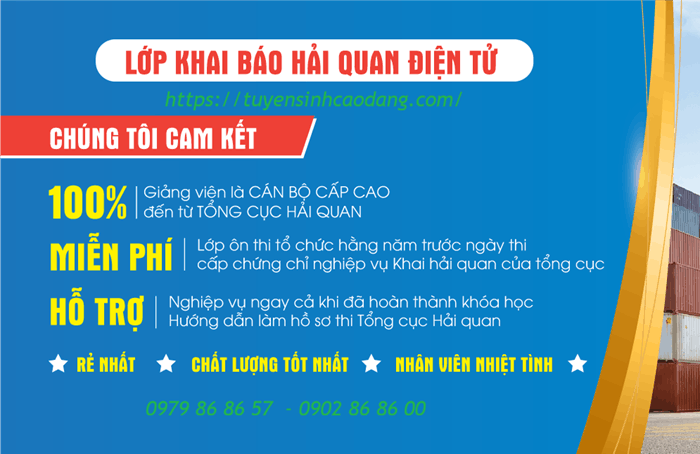 LỚP HỌC KHAI HẢI QUAN ĐIỆN TỬ ONLINE