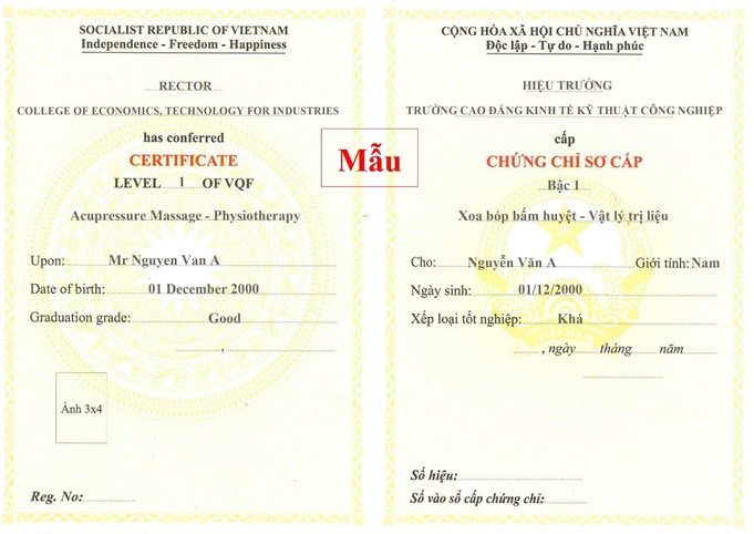 mẫu chứng chỉ xoa bóp bấm huyệt vltl