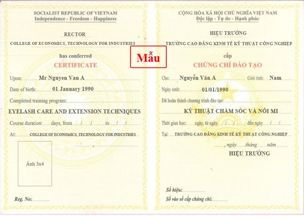 chứng chỉ kỹ thuật chăm sóc và nối mi